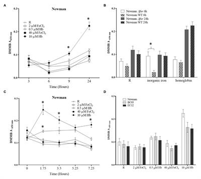 Staphylococcus aureus Biofilms and Their Response to a Relevant in vivo Iron Source